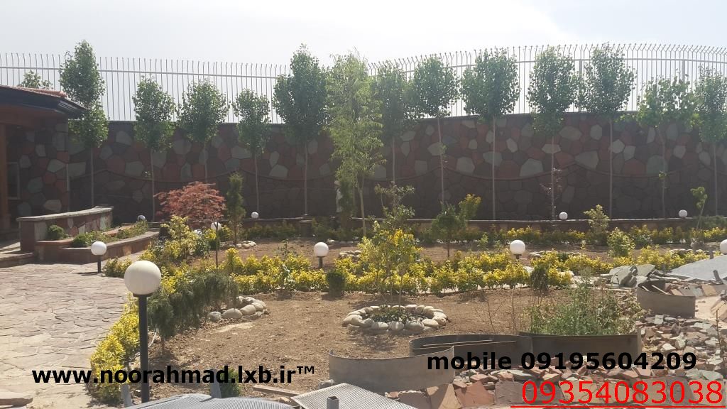 زیبا تهرین کارهای حسنی